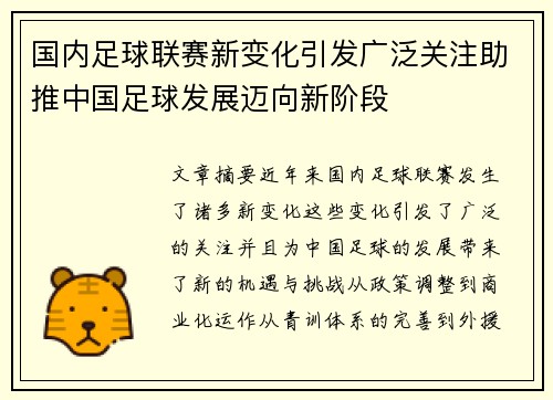 国内足球联赛新变化引发广泛关注助推中国足球发展迈向新阶段