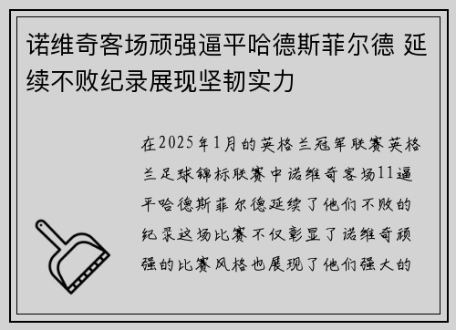 诺维奇客场顽强逼平哈德斯菲尔德 延续不败纪录展现坚韧实力