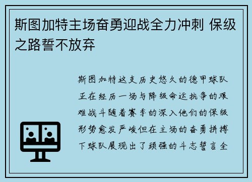 斯图加特主场奋勇迎战全力冲刺 保级之路誓不放弃
