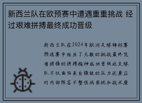 新西兰队在欧预赛中遭遇重重挑战 经过艰难拼搏最终成功晋级