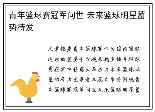 青年篮球赛冠军问世 未来篮球明星蓄势待发